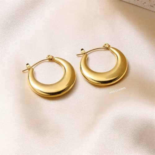 Golden Luxe Hoop Earrings