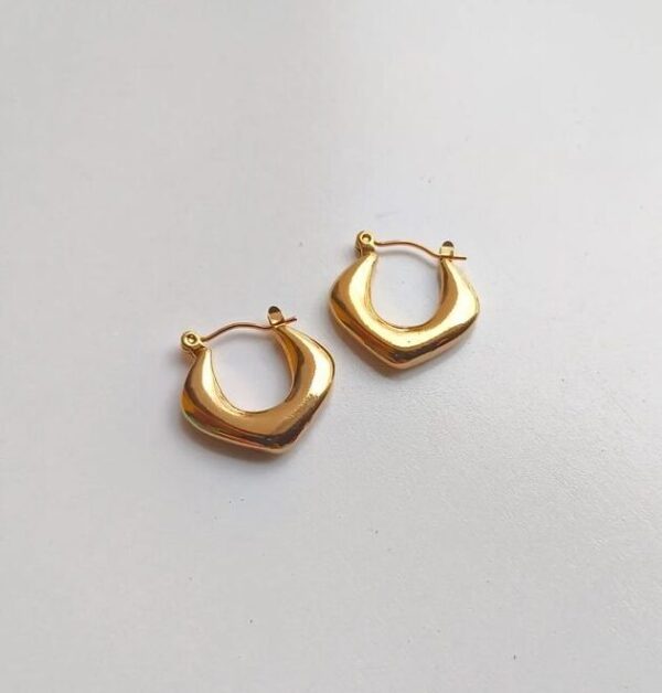 2025/05/1000240824.jpg Bold Crescent Hoops Earrings